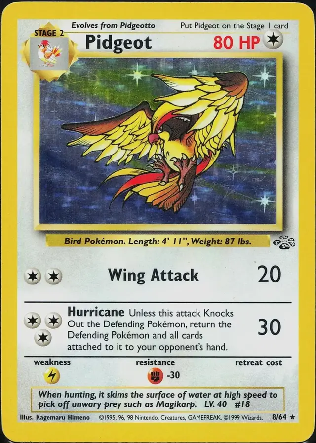 Pidgeot - Pokemon Jungle #8