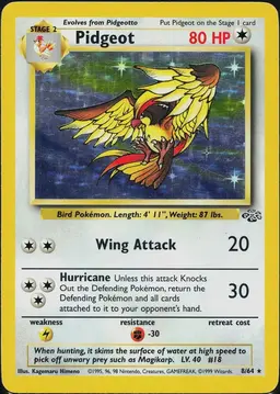 Pidgeot - Pokemon Jungle