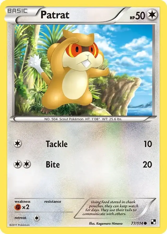Patrat - Pokemon Black & White #77