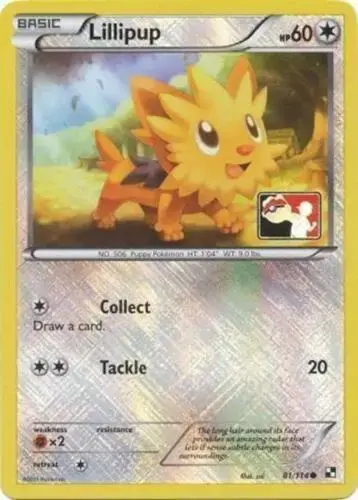 Lillipup [League Promo] - Pokemon Black & White #81