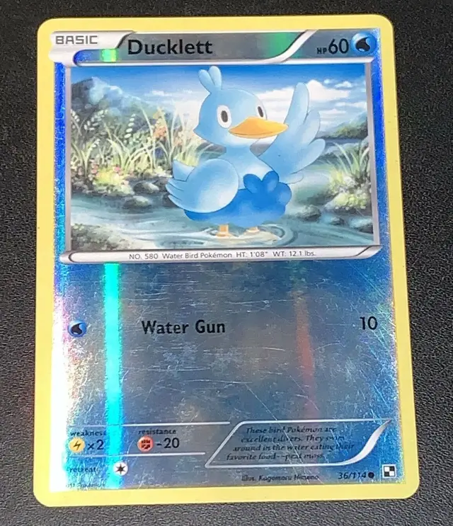 Ducklett [Reverse Holo] - Pokemon Black & White #36