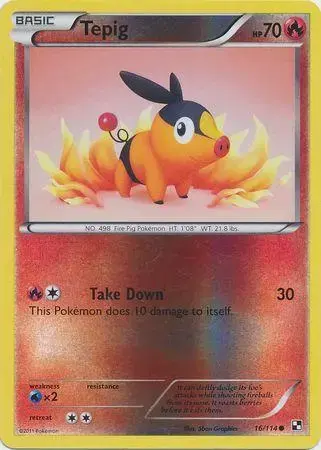 Tepig [Reverse Holo] - Pokemon Black & White #16
