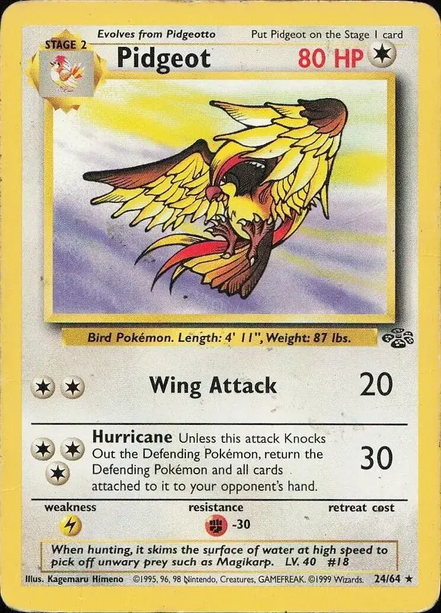 Pidgeot - Pokemon Jungle #24
