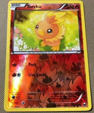 Torchic [Reverse Holo]