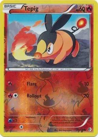 Tepig [Reverse Holo] - Pokemon Boundaries Crossed #24