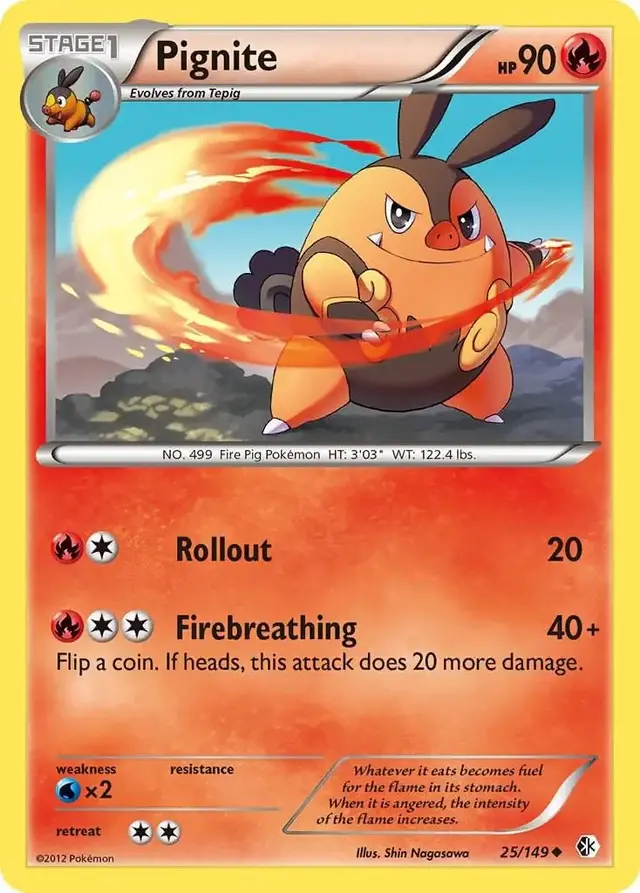 Pignite #25 - Pokemon Boundaries Crossed