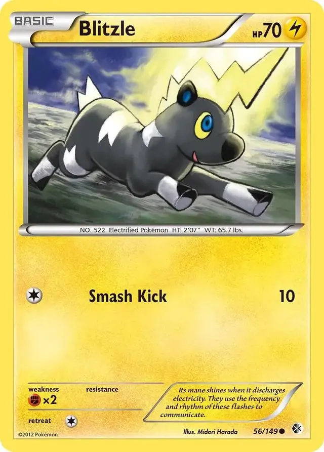 Blitzle #56 - Pokemon Boundaries Crossed