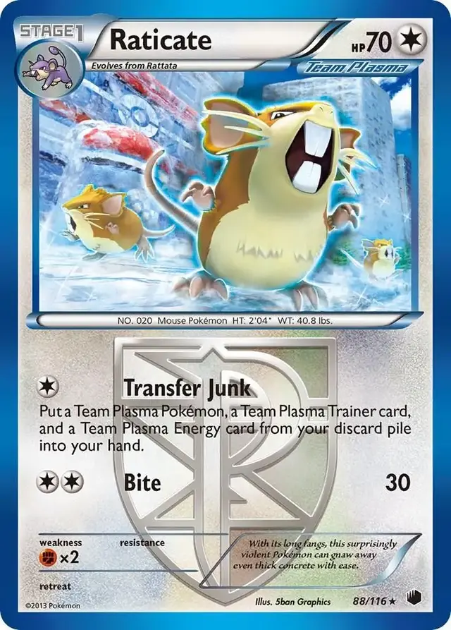 Raticate - Pokemon Plasma Freeze #88