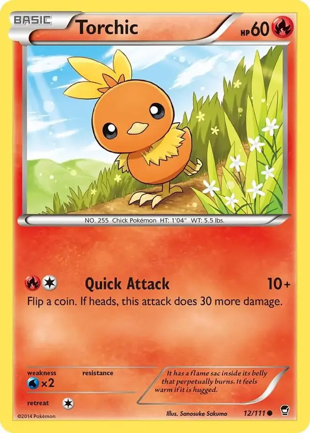 Torchic - Pokemon Furious Fists #12