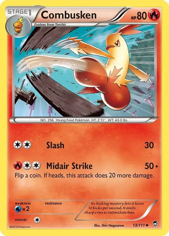 Combusken - Pokemon Furious Fists #13