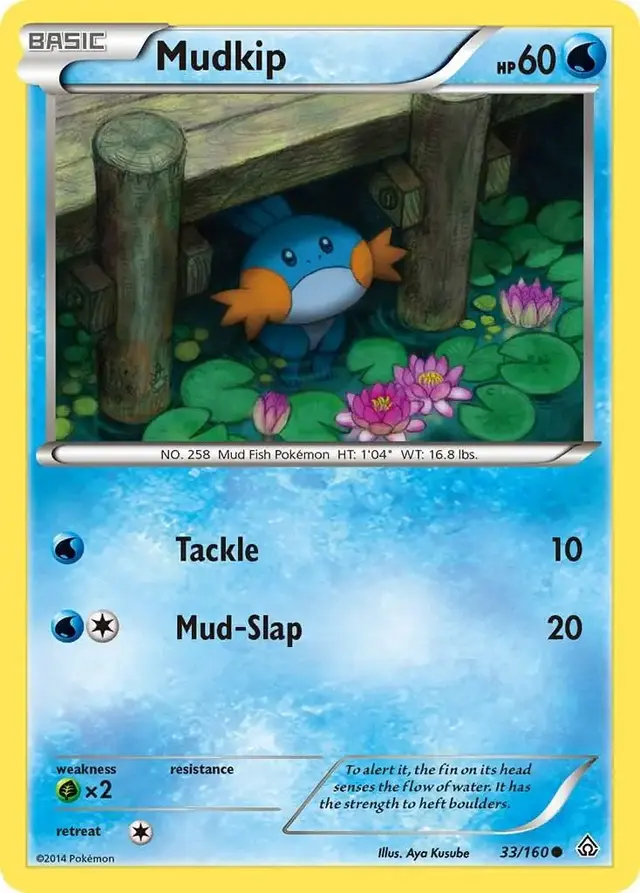 Mudkip - Pokemon Primal Clash #33