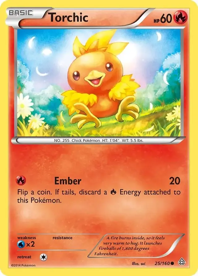 Torchic - Pokemon Primal Clash #25