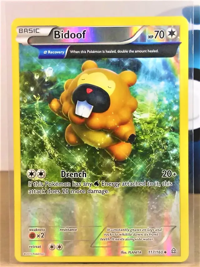 Bidoof [Reverse Holo]