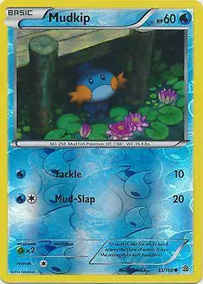 Mudkip [Reverse Holo] - Pokemon Primal Clash #33