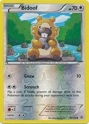 Bidoof [Reverse Holo]
