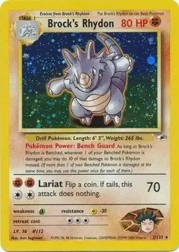 Brock's Rhydon - Pokemon Gym Heroes
