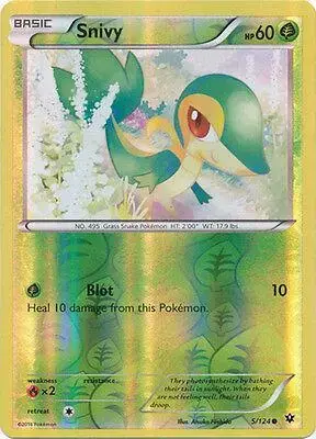 Snivy [Reverse Holo] - Pokemon Fates Collide #5