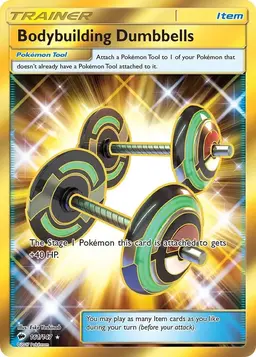 Bodybuilding Dumbbells 161 - Pokemon Burning Shadows