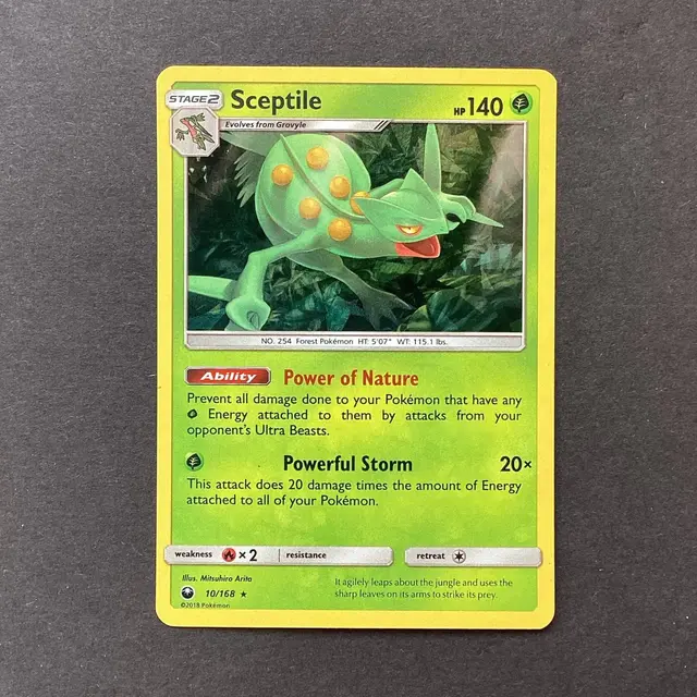 Sceptile [Cracked Ice]