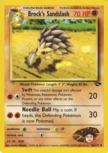 Brock's Sandslash - Pokemon Gym Challenge #36