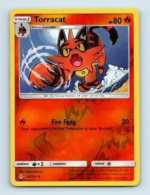 Torracat [Reverse Holo] - Pokemon Unbroken Bonds #28