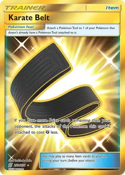Karate Belt 252 - Pokemon Unified Minds