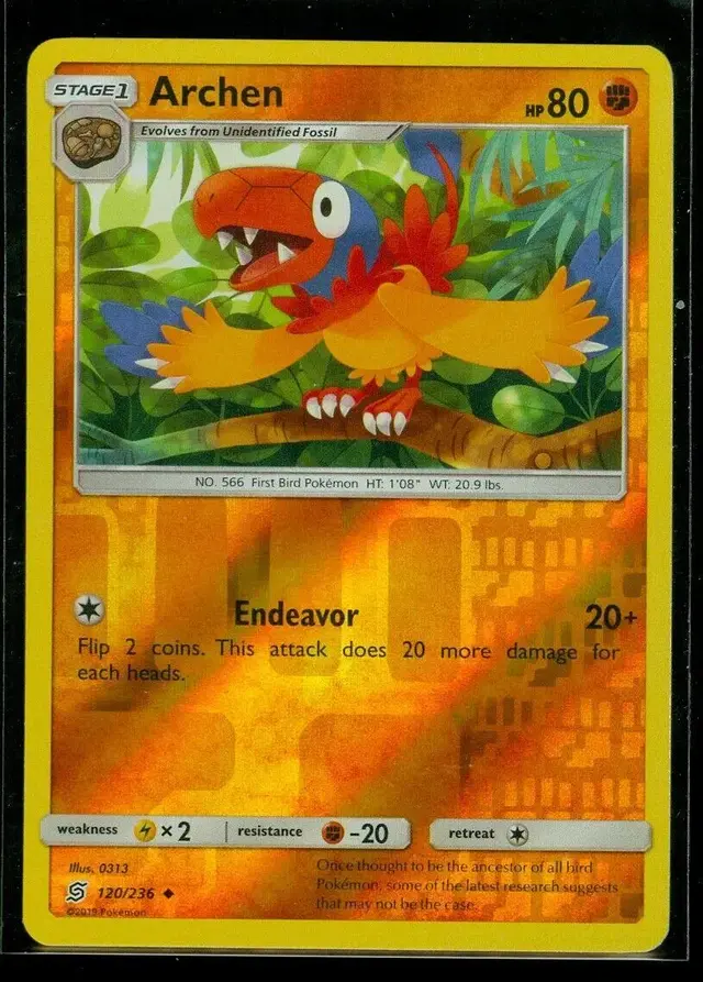 Archen [Reverse Holo]