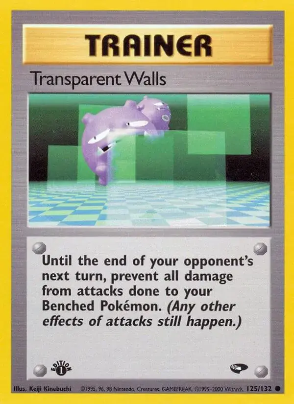 Transparent Walls [1st Edition]