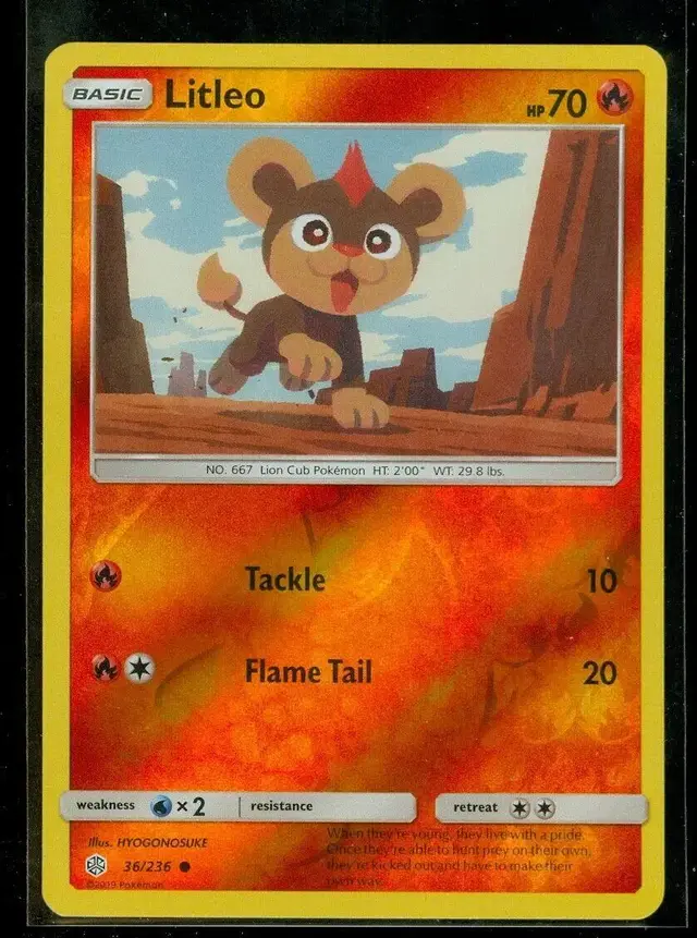 Litleo [Reverse Holo] - Pokemon Cosmic Eclipse #36