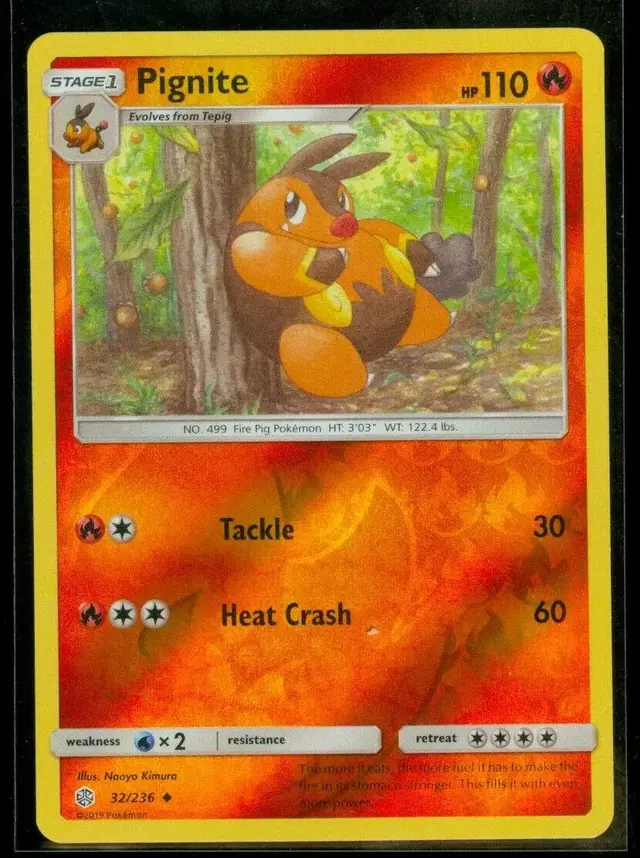 Pignite [Reverse Holo]