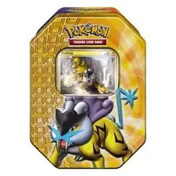 Raikou Tin - Pokemon HeartGold & SoulSilver
