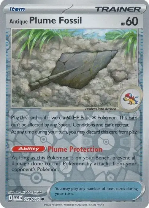 Antique Plume Fossil [Reverse]