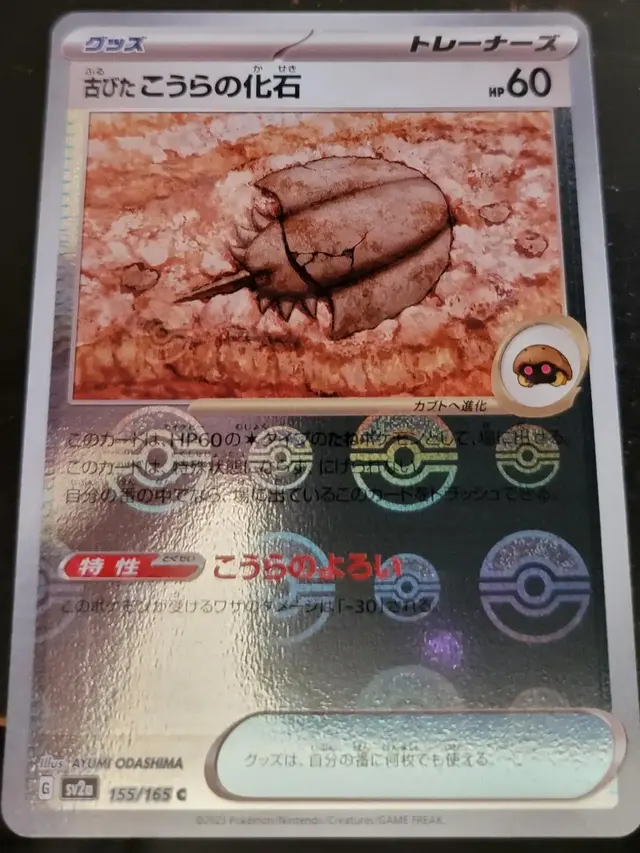 Old Dome Fossil [Reverse]