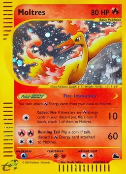 Moltres - Pokemon Skyridge