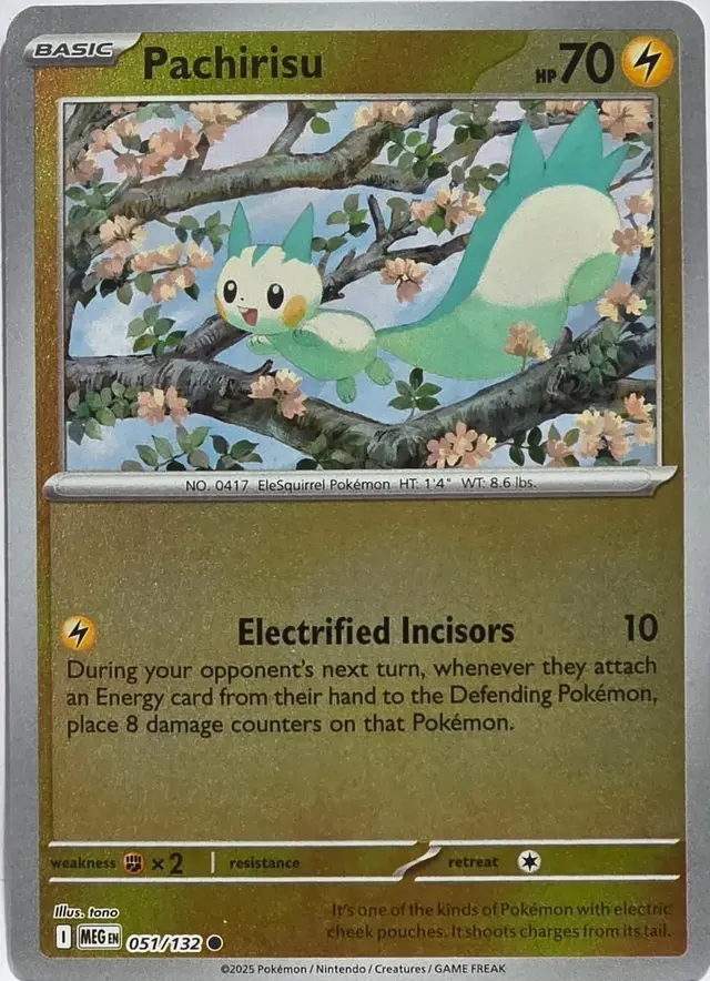 Pachirisu [Reverse Holo] - Pokemon Mega Evolution #51