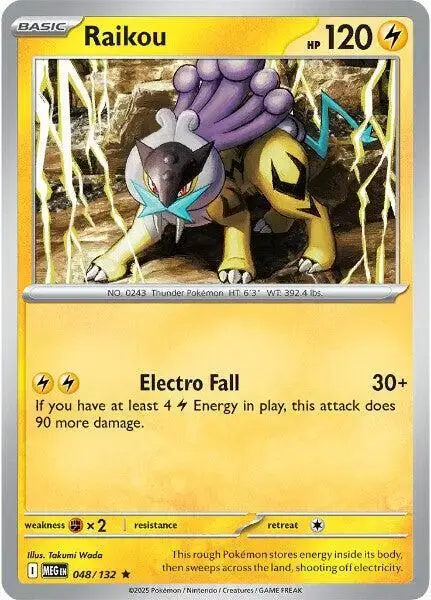 Raikou - Pokemon Mega Evolution #48