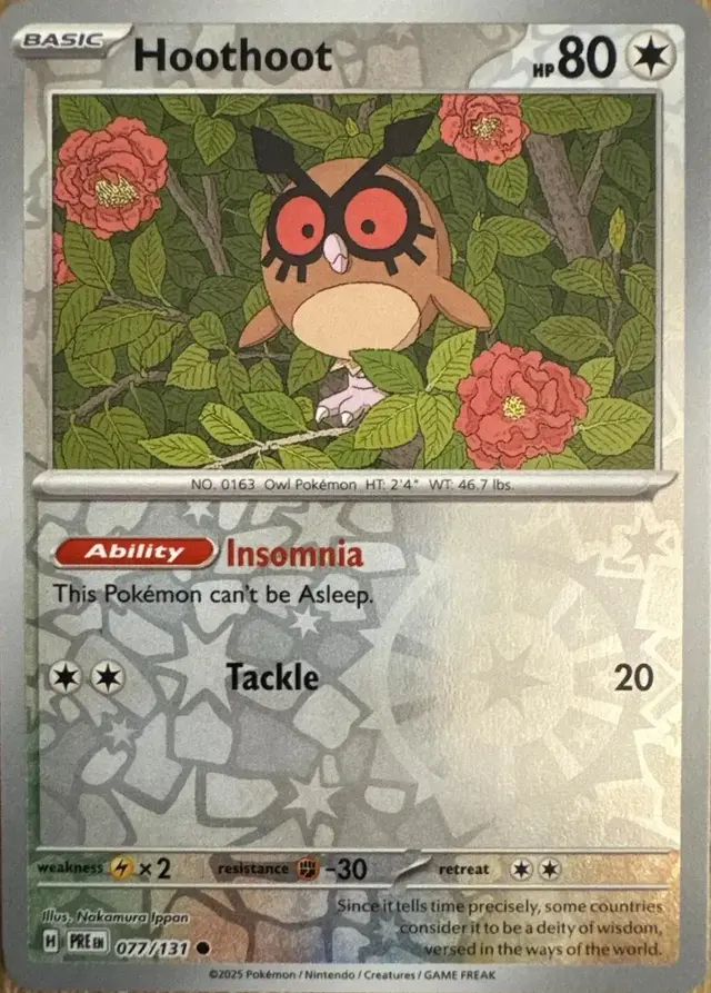 Hoothoot [Reverse]