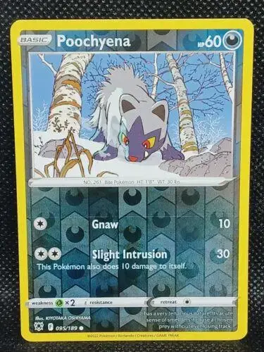 Poochyena [Reverse Holo]