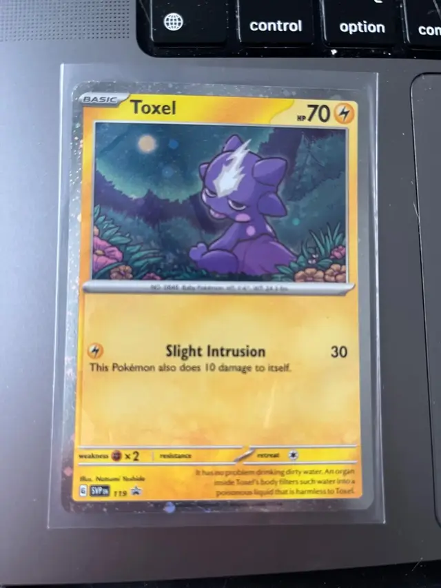 Toxel - Pokemon Scarlet & Violet Promos #119