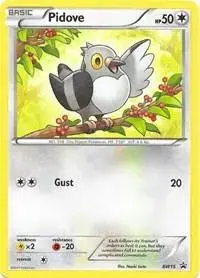 Pidove - Pokemon Black and White Promos #BW15