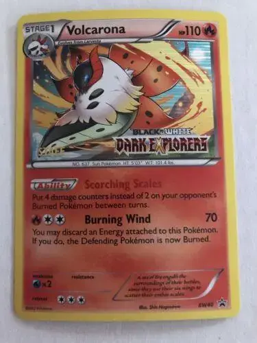 Volcarona [Staff] - Pokemon Prerelease & Staff Promos #BW40