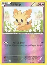 Lillipup