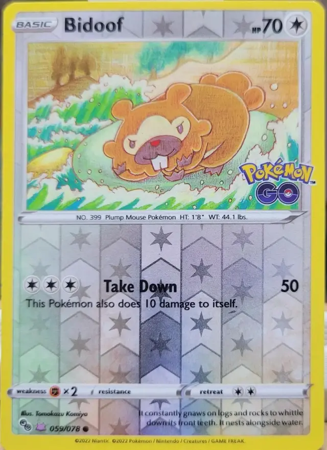 Bidoof [Ditto] - Pokemon Go #59