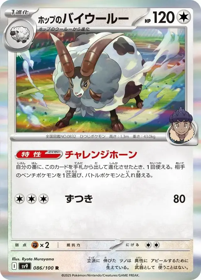 Hop's Dubwool - Pokemon Japanese Battle Partners #86