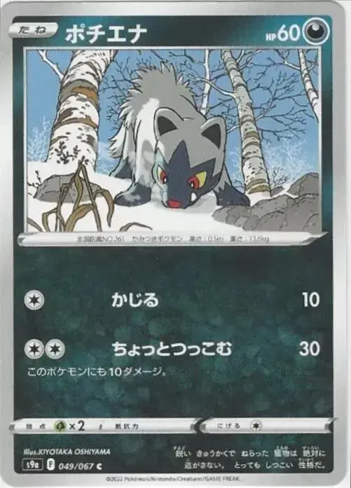 Poochyena - Pokemon Japanese Battle Region #49