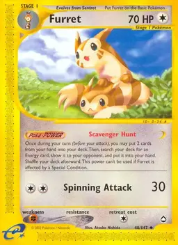 Furret - Pokemon Aquapolis