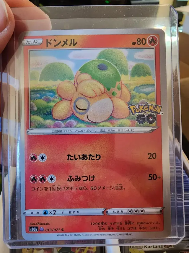 Numel [Ditto]