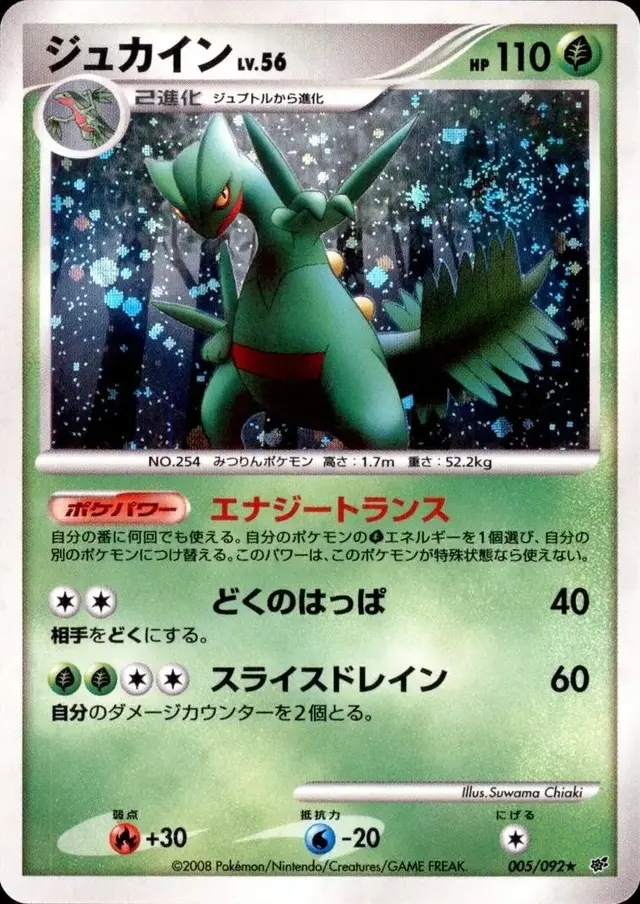 Sceptile - Pokemon Japanese Intense Fight in the Destroyed Sky #5