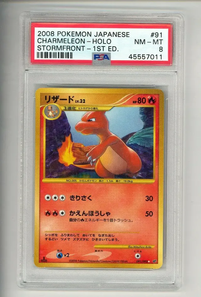 Charmeleon - Pokemon Japanese Intense Fight in the Destroyed Sky #91