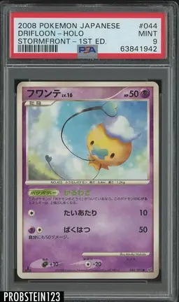 Drifloon - Pokemon Japanese Intense Fight in the Destroyed Sky